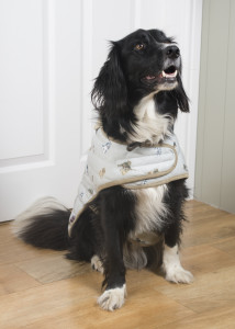 Above: A quilted dog coat from Wrendale is brand new for this season.
