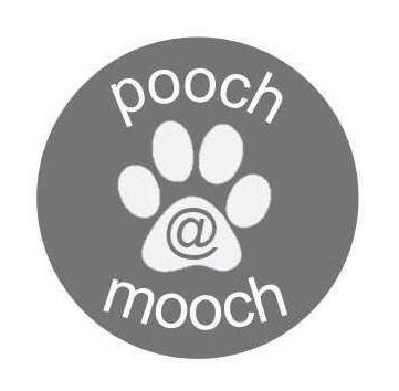 Above: The pooch@mooch logo created by Saturday girl, Erin.