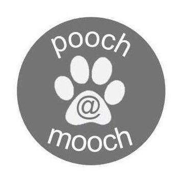 Above: The pooch@mooch logo created by Saturday girl, Erin.