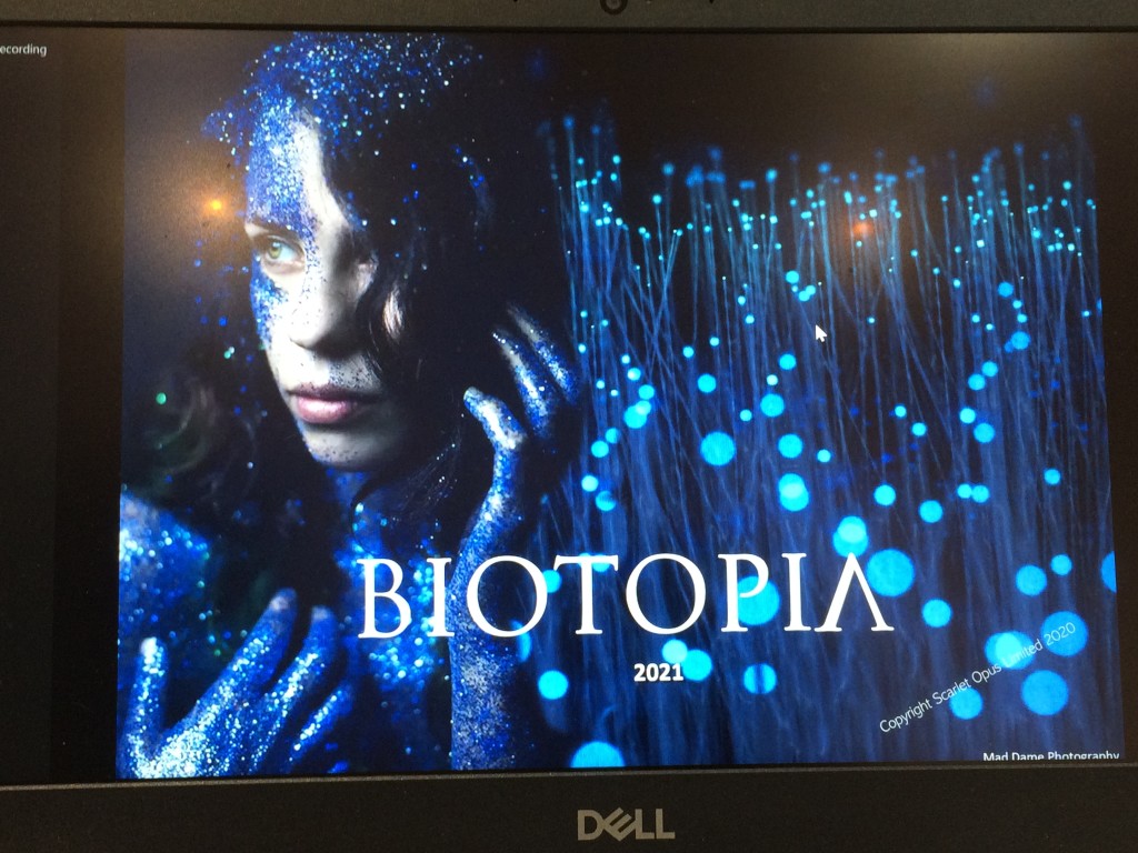 Above: Biotopia’s key focus is on botanical and oceanic themes.