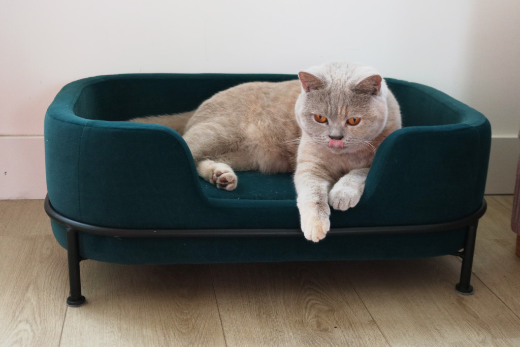 Above: Velvet pet sofas have been a success story for Present Time.