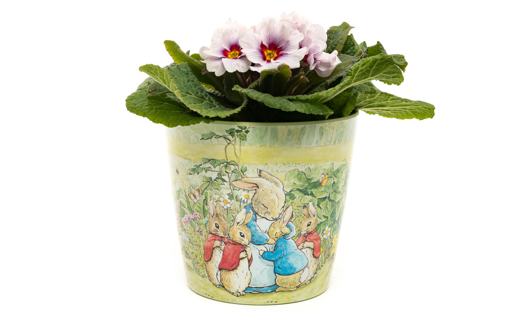 Above: A Jardinopia Eco-Pot, made from bamboo, is launching to tie in with Peter Rabbit’s 120th anniversary this year.