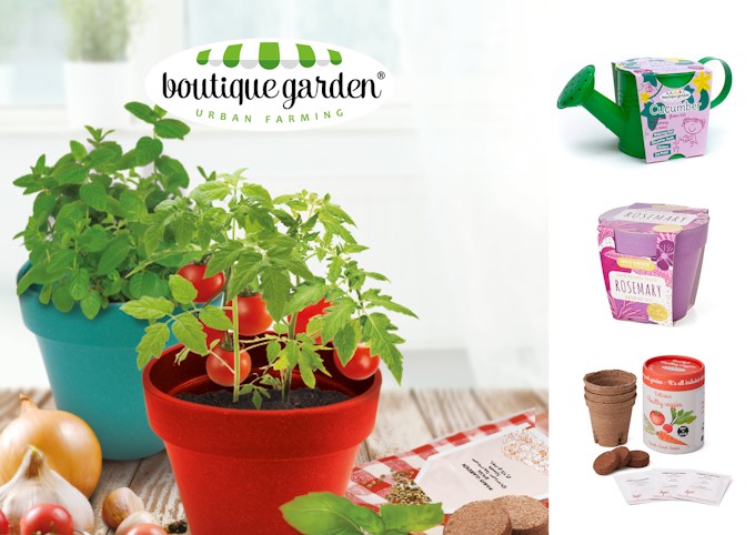 Above: Boutique Garden.