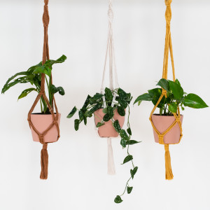 Above: Make your own plant hanger trio DIY kit from Stitch Happy makes an add-on sale accompaniment to plant pots and faux plants.