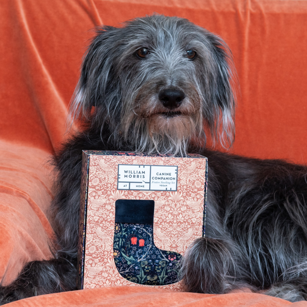 Above: William Morris At Home Canine Companion gifts from Heathcote & Ivory include a velvet pet stocking.