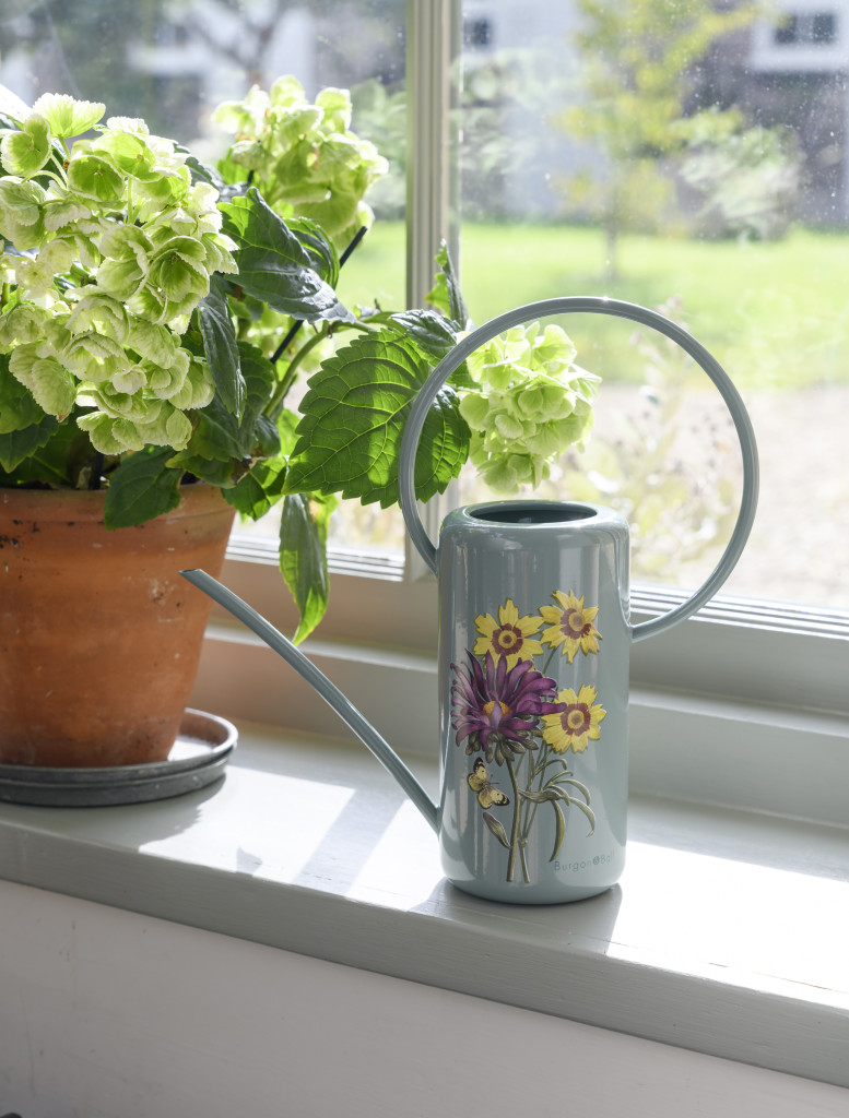 Above: Among the products in the new RHS Gifts for Gardeners Asteraceae collection is an indoor watering can.